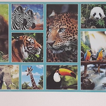Animalier Apartment Joigny Bagian luar foto