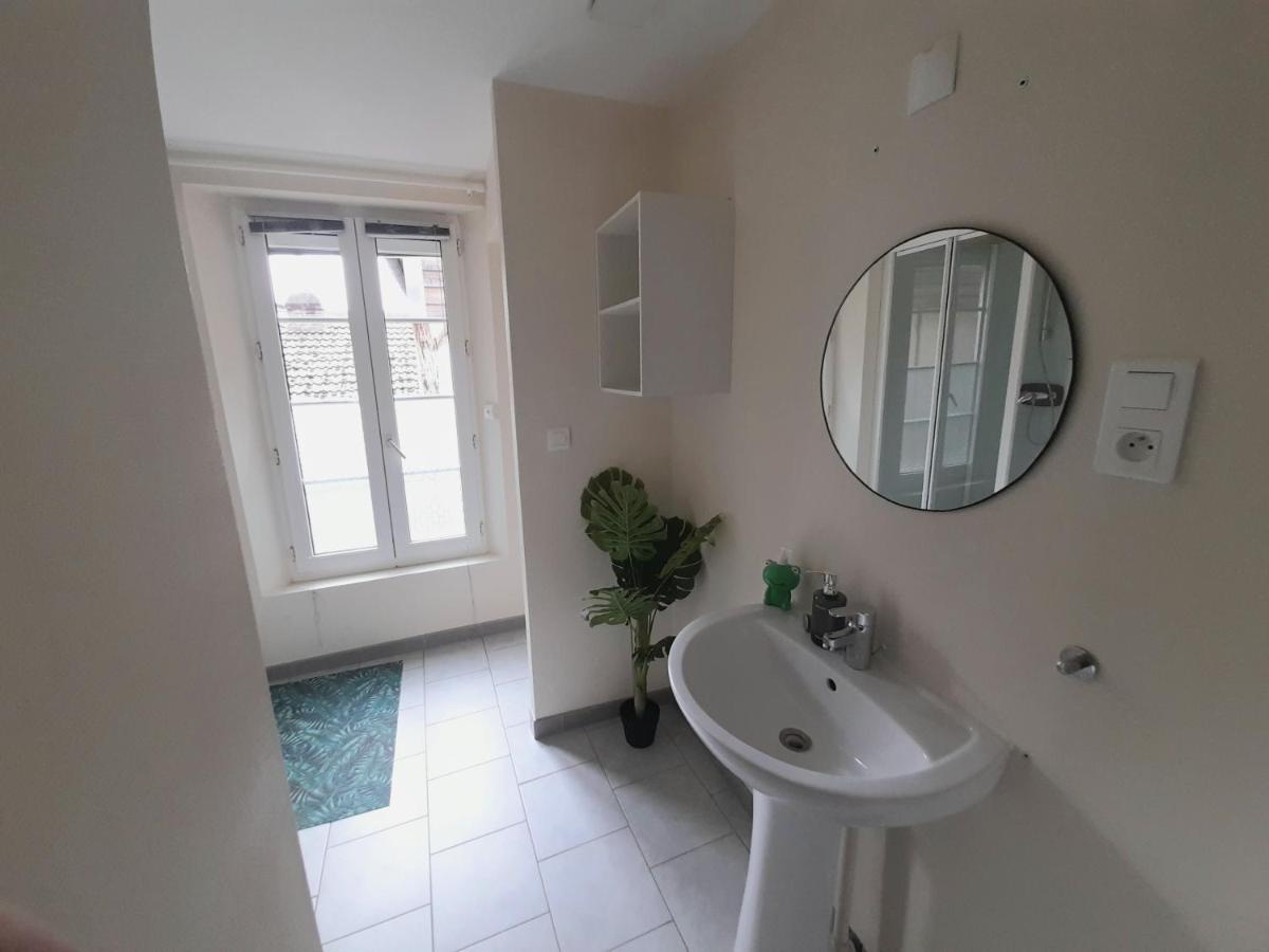Animalier Apartment Joigny Bagian luar foto