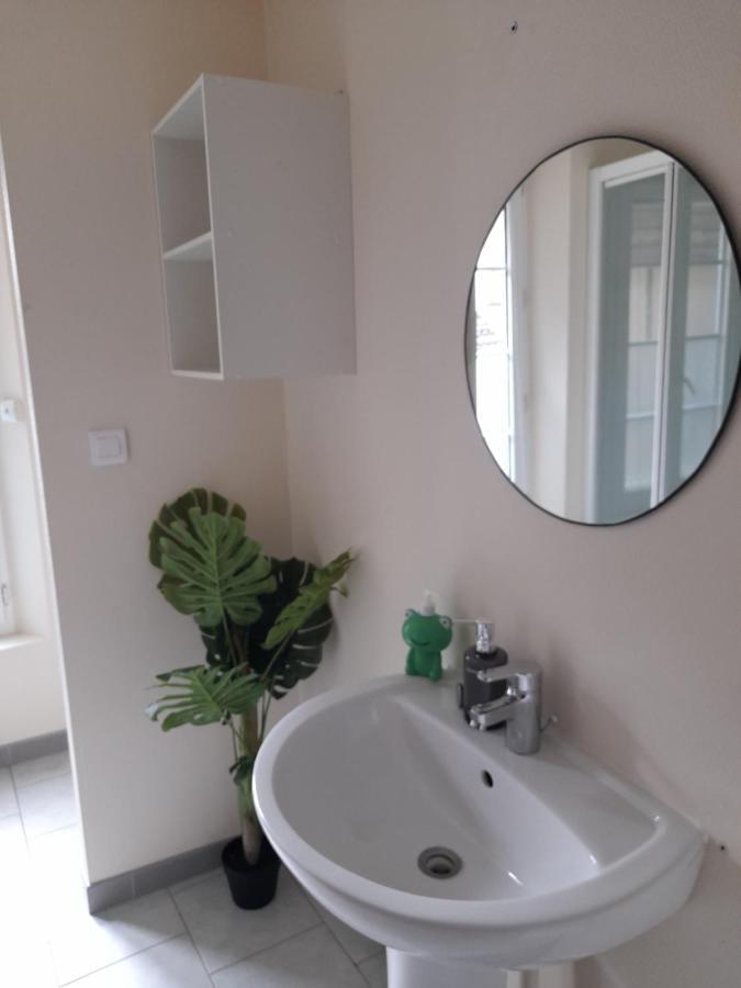 Animalier Apartment Joigny Bagian luar foto