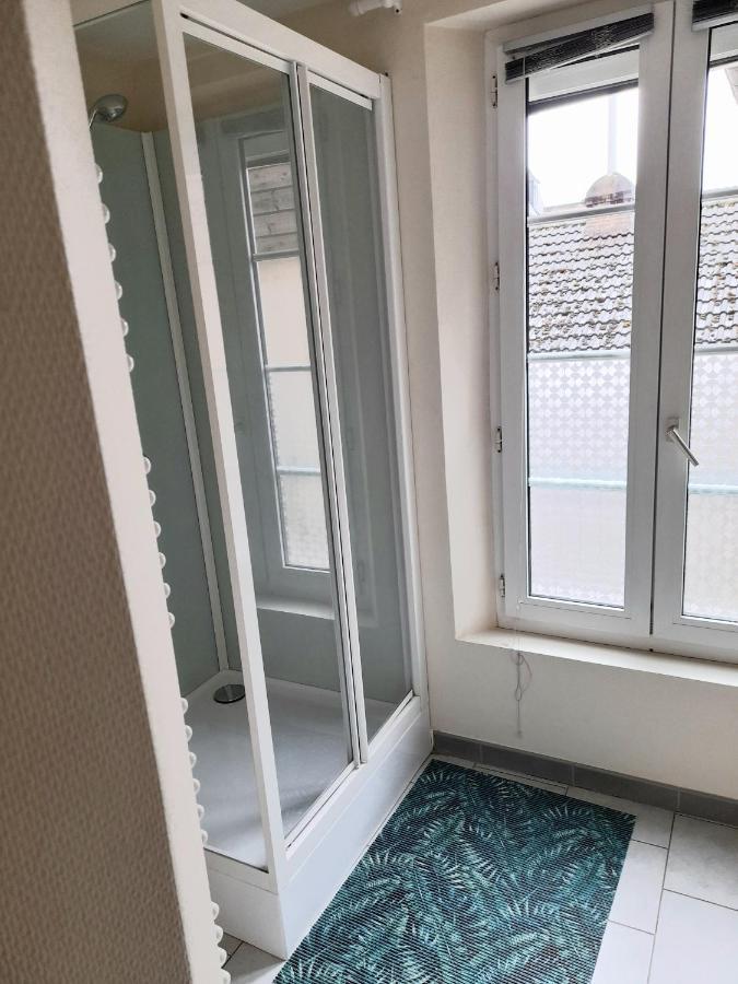 Animalier Apartment Joigny Bagian luar foto