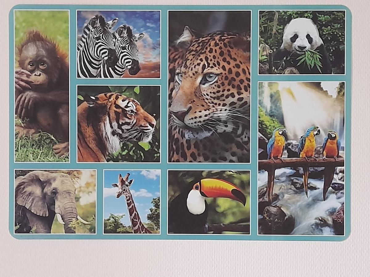 Animalier Apartment Joigny Bagian luar foto